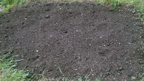 家庭菜園を耕し苦土石灰を撒きました